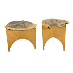 Antique A Pair of Petrified Palm Wood Table Tops.