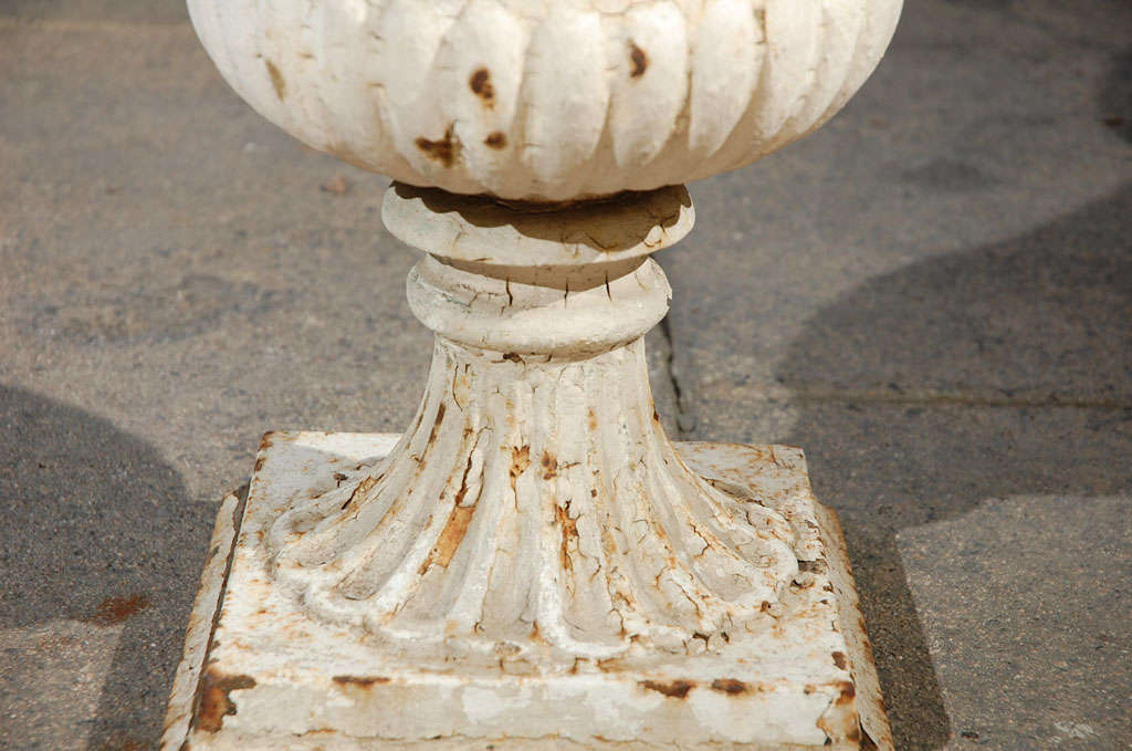 Pair of Painted 19th Century English Cast Iron Urns with Fluted Bodies 3