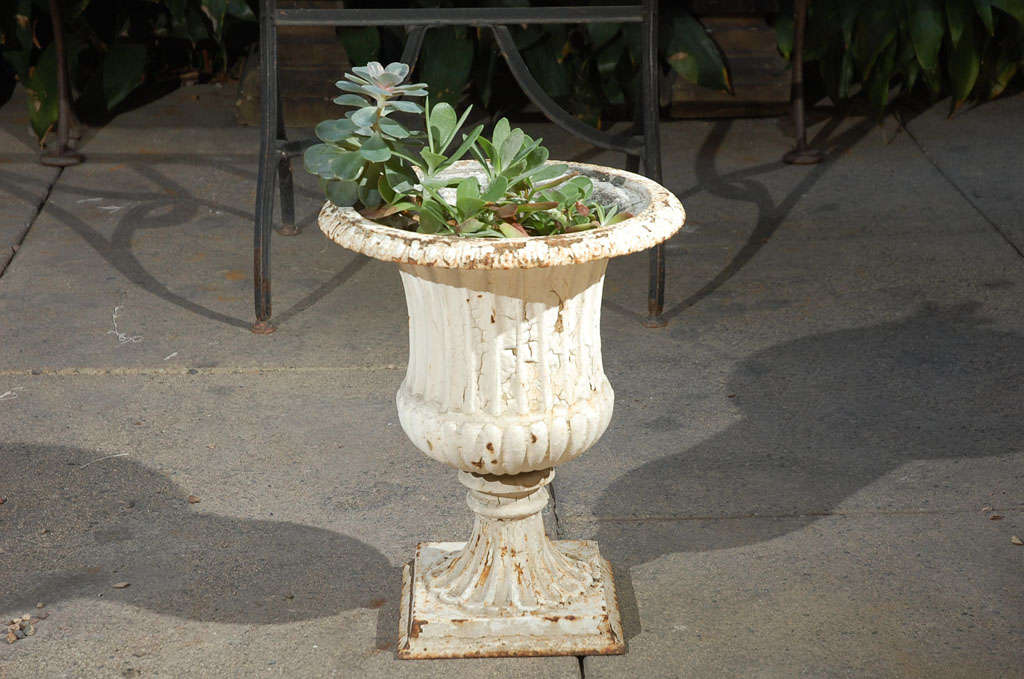 Pair of painted 19th century English cast iron urns with fluted and gadrooned bodies on pedestal square plinth bases. Great patina and use as a garden element.
