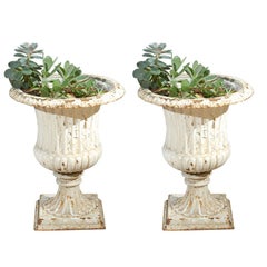 Pair of Painted 19th Century English Cast Iron Urns with Fluted Bodies