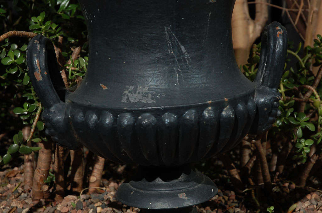 An English Iron Urn, Circa 1880 In Good Condition In Los Angeles, CA