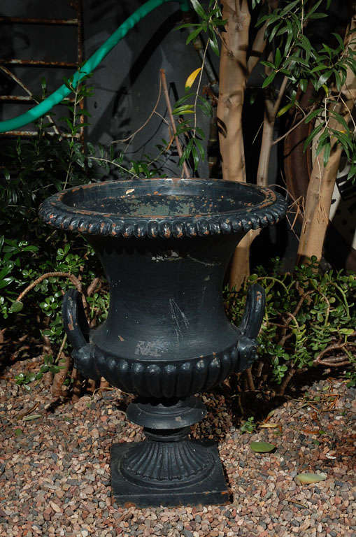 This black painted urn or planter has a beautiful flared rim above figural head mounted handles on a gadrooned body and fluted pedestal base. A beautiful addition as a garden element or jardin.