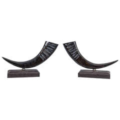 Contemporary Decorative Sculptural Buffalo Horns