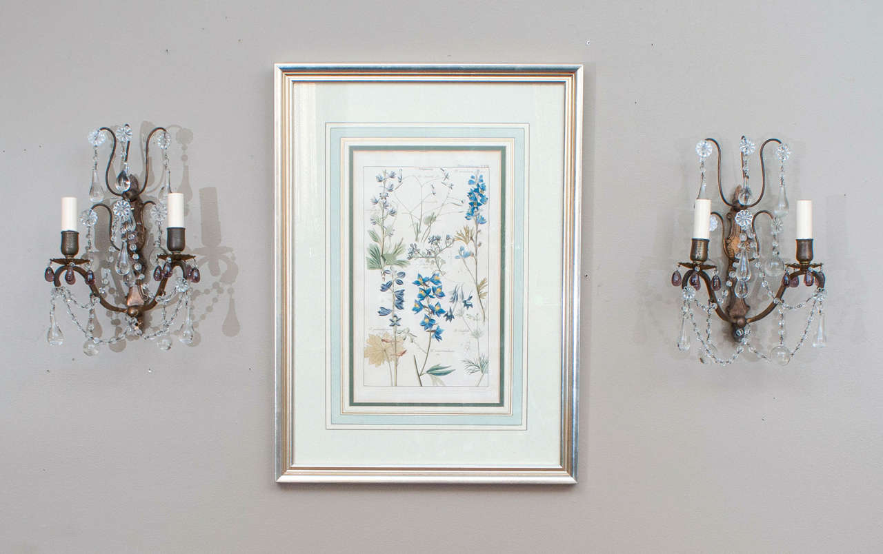 Mid-20th Century Pair of Louis XV Style Sconces