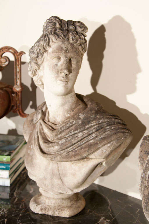 20th Century Fine Cast Stone Bust of Apollo Belvedere