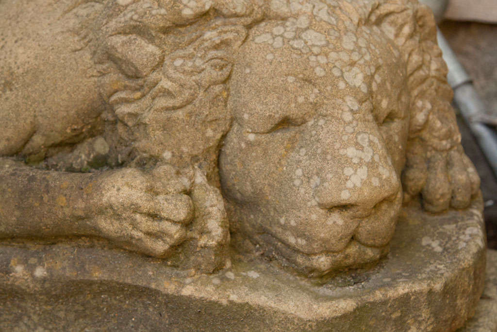 English Carved Yorkstone Sleepy Lion