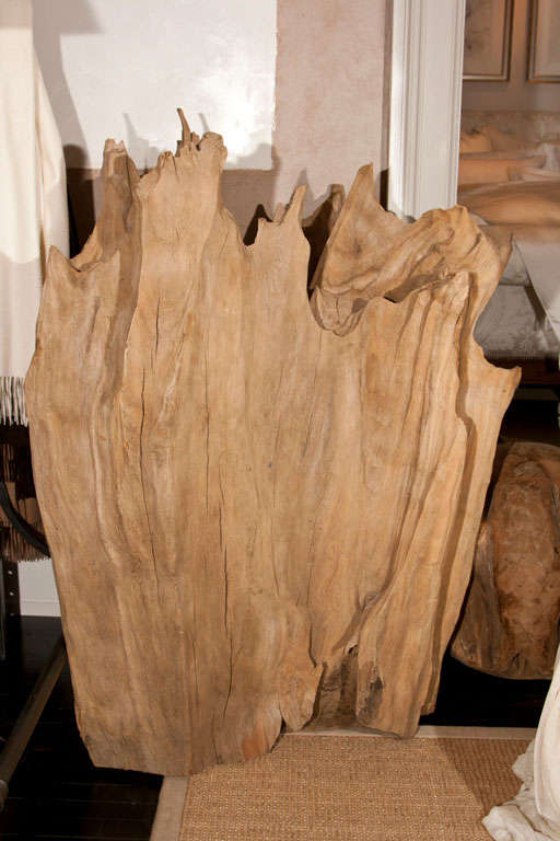 19th Century Cypress Tree Stump Sculpture