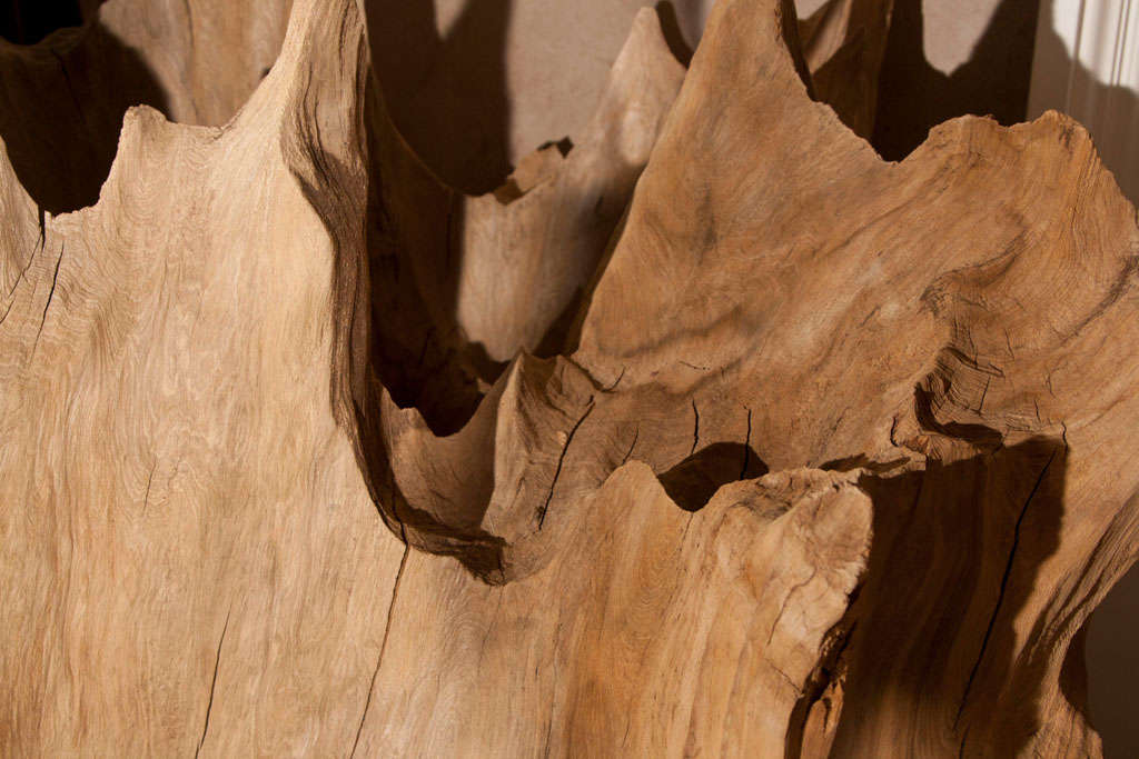 Cypress Tree Stump Sculpture 1