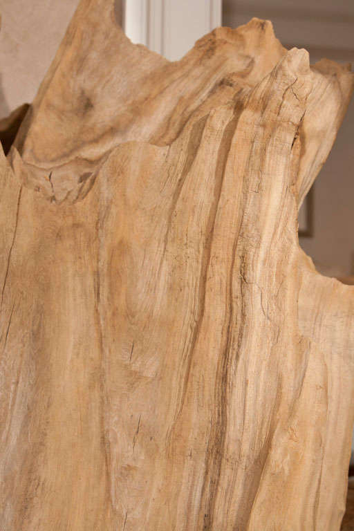Cypress Tree Stump Sculpture 3