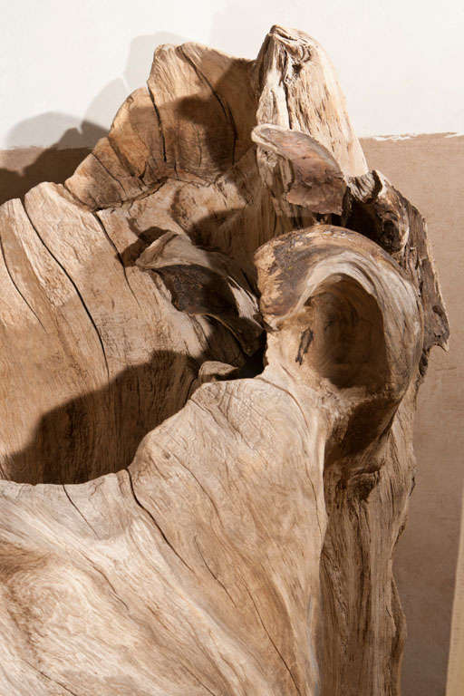 19th Century Cypress Tree Stump Sculpture