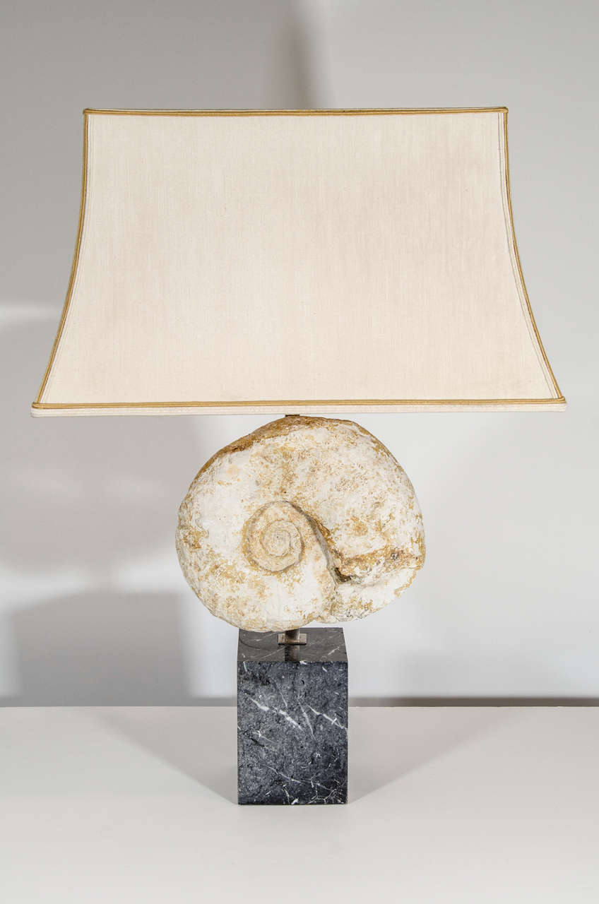 Nautilus Fossil Lamp