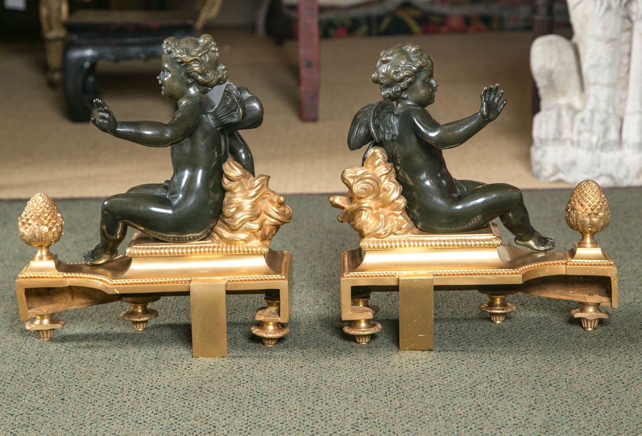 Monumental Size Pair of D'ore and Bronze Chenets For Sale 1