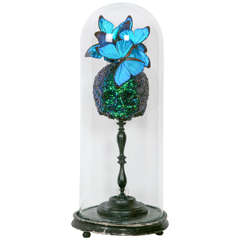 Antique Glass Dome of Curiosity, with Beetles Vanity and Butterflies