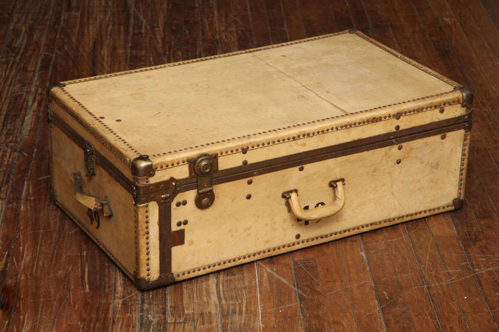 Velum Trunk