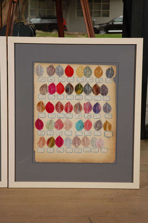 French 1910 Millinery Color Samples