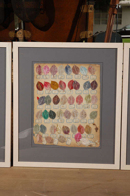 20th Century 1910 Millinery Color Samples