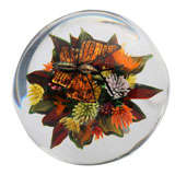 Rick Ayotte Magnum  Pincushion Bouqet With Butterfly