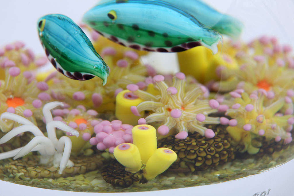 Contemporary Cathy Richardson Rainbow Fish Paperweight