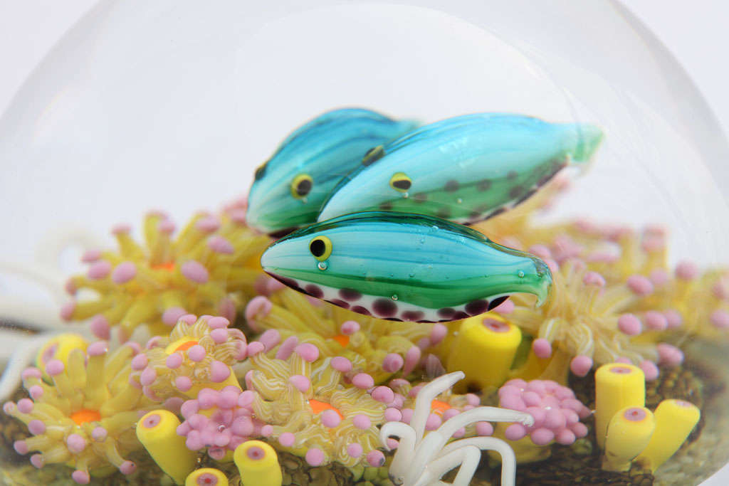 Glass Cathy Richardson Rainbow Fish Paperweight