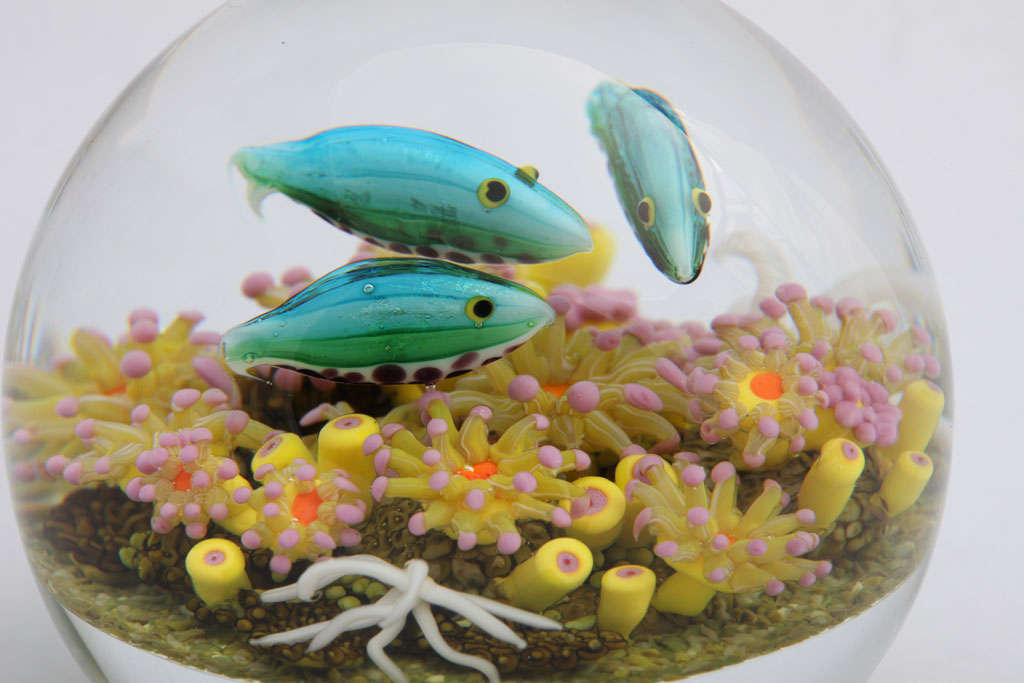 Cathy Richardson Rainbow Fish Paperweight 2