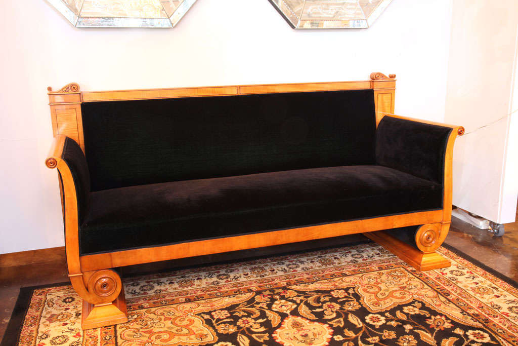 19th c German Biedermeier satinwood sofa covered in black velvet