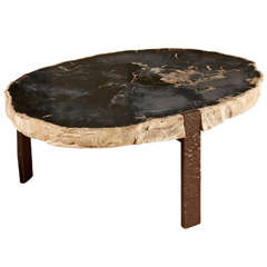 Oval Coffee Table With Petrified Wood Top