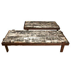 Pair Of Coffee Tables In Petrified Wood And Iron