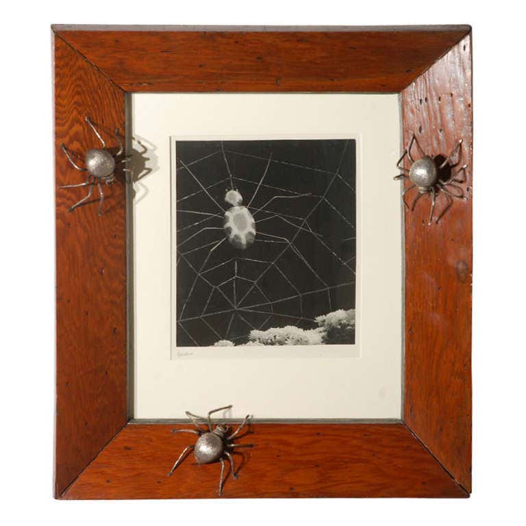 Spider Framed Spider Print at 1stDibs