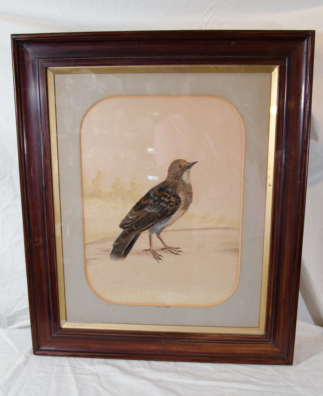 Pair Large "Feathers" Ornithological Collages of Birds: Meadow Lark Turtle Dove