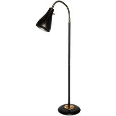Adjustable  Floor Lamp