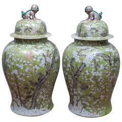 Monumental Pair of Chinese Famille Verte Lidded Jars