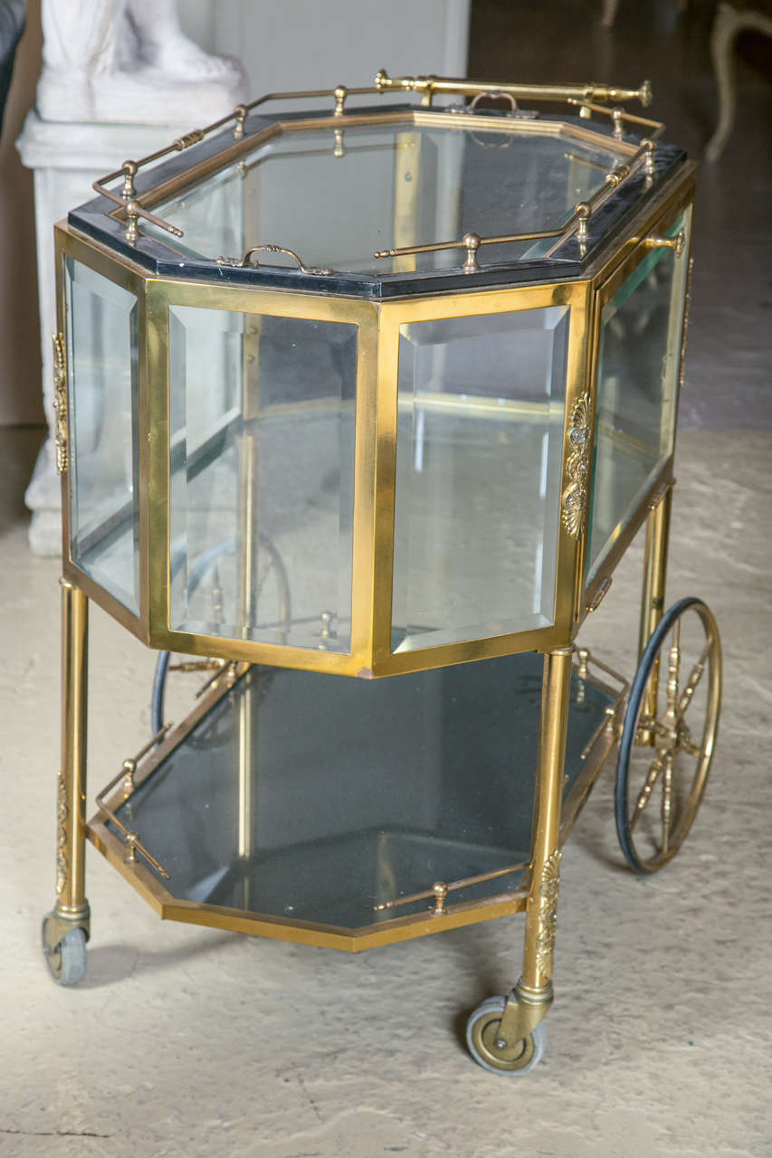 Bronze and Glass Vitrine Serving Tea Wagon 3