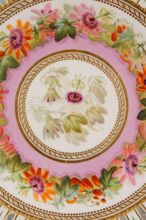 Porcelain Set of 10 Hand Painted Botanical Pierced Cabinet Plates For Sale