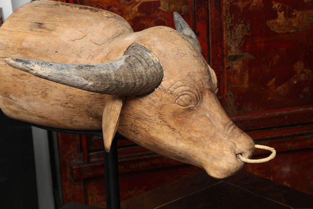 Wooden Water Buffalo Head Sculpture at 1stDibs