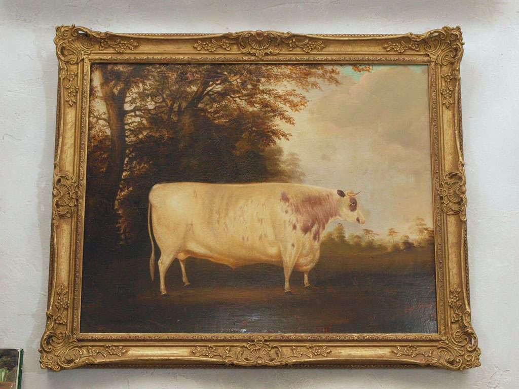 Portrait of Shorthorn Lincolnshire Ox. Oil on canvas. 18th century. Fine example of the farm animal painting genre.