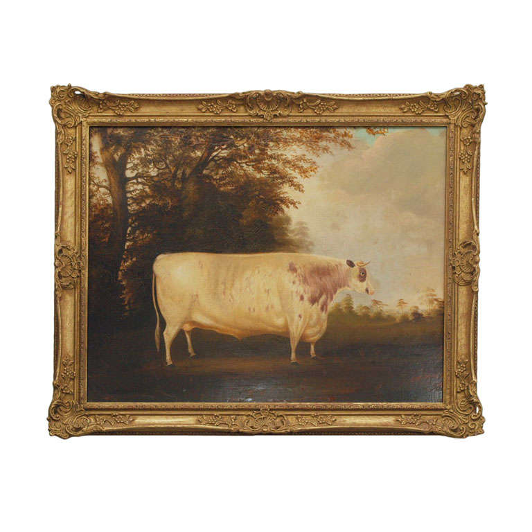 Portait of Shorthorn Lincolnshire Ox, England, 18th century For Sale