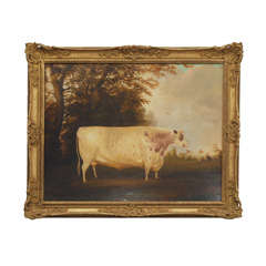 Antique Portait of Shorthorn Lincolnshire Ox, England, 18th century