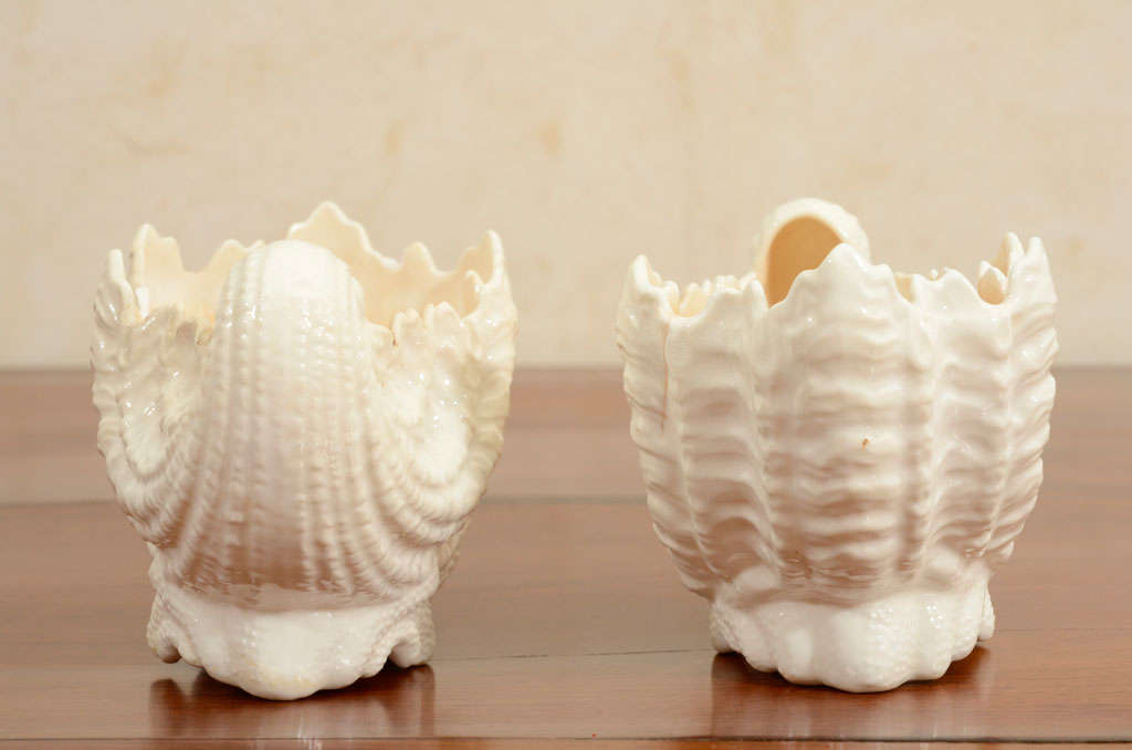Pair of English Coalport Porcelain Shell-Form Vases 5