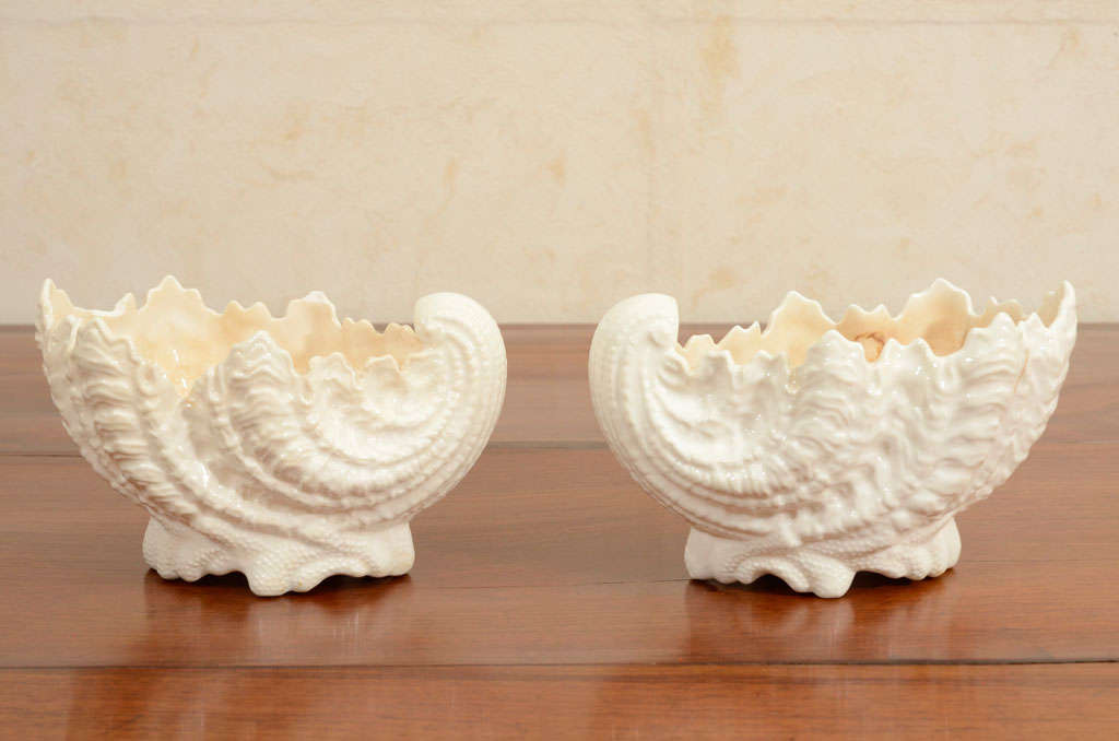 This pair of circa 1910-1920 English cream colored porcelain, shell-shaped vases was made at the Coalport Porcelain Manufactory in Shropshire. Each vase is marked accordingly on its base.