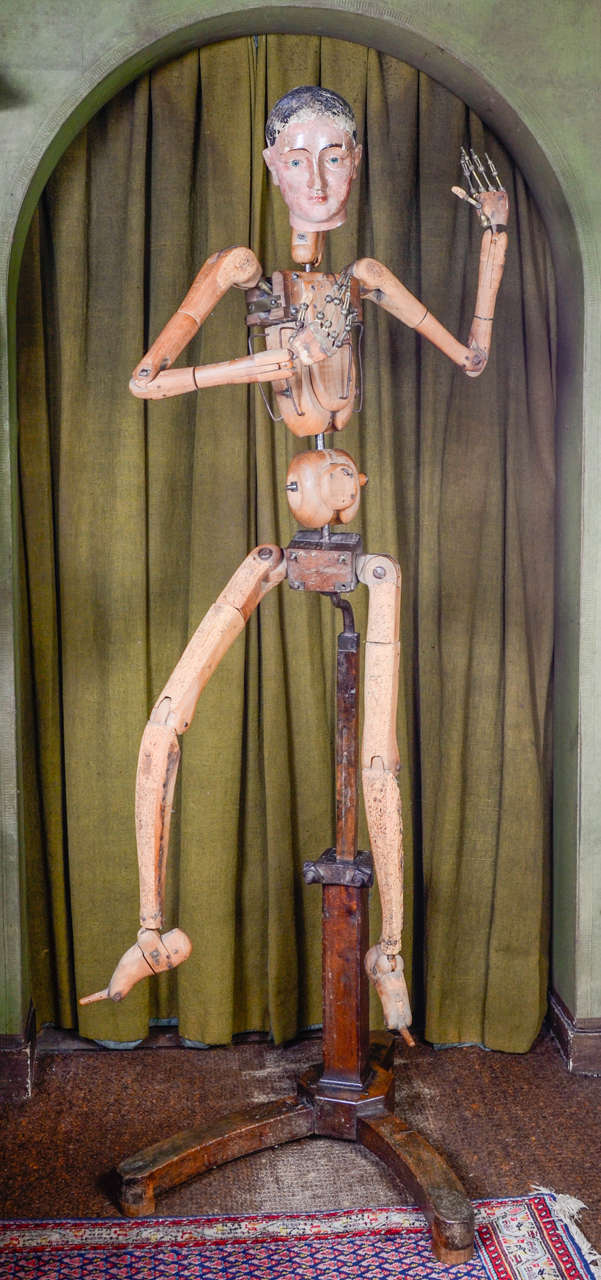 Alive size.
Articulated brass fingers.
Part of forelegs covered with corck.
Papier mâché head.
Adjustable wooden stand.

Measures of stand: Max 35 height, width 24, depth 27.