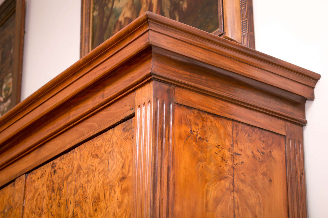 19th Century German Biedermeier Cabinet For Sale 1