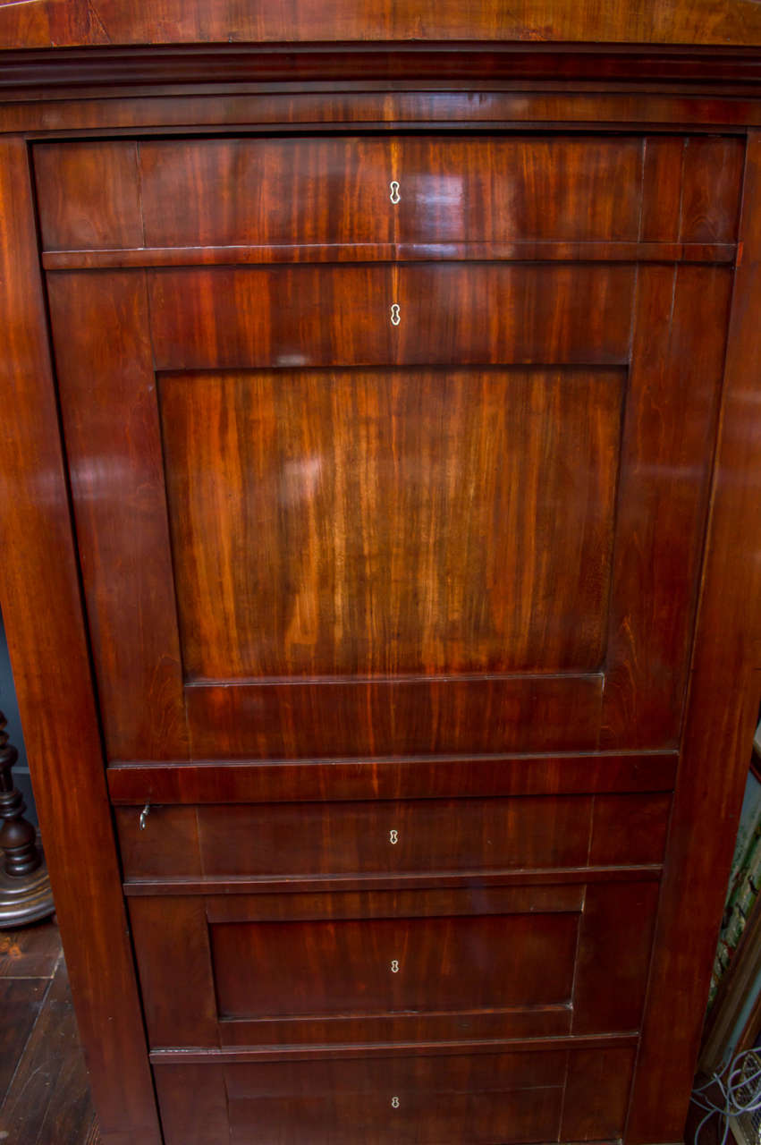 19th Century German Biedermeier Cabinet / Book Case For Sale 3