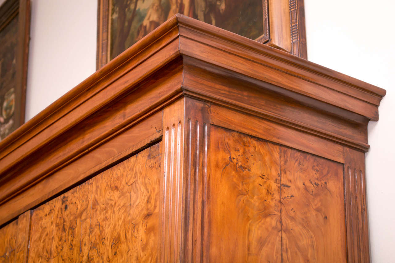 19th Century German Biedermeier Cabinet For Sale at 1stDibs