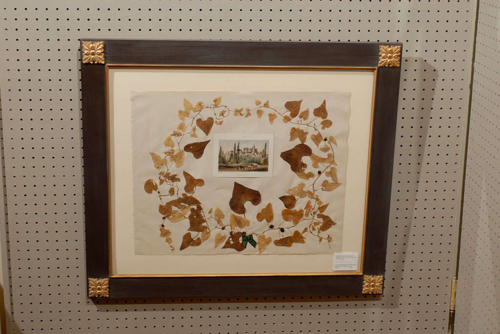 European Set of 4 Dried Botanicals & Ferns c1870s