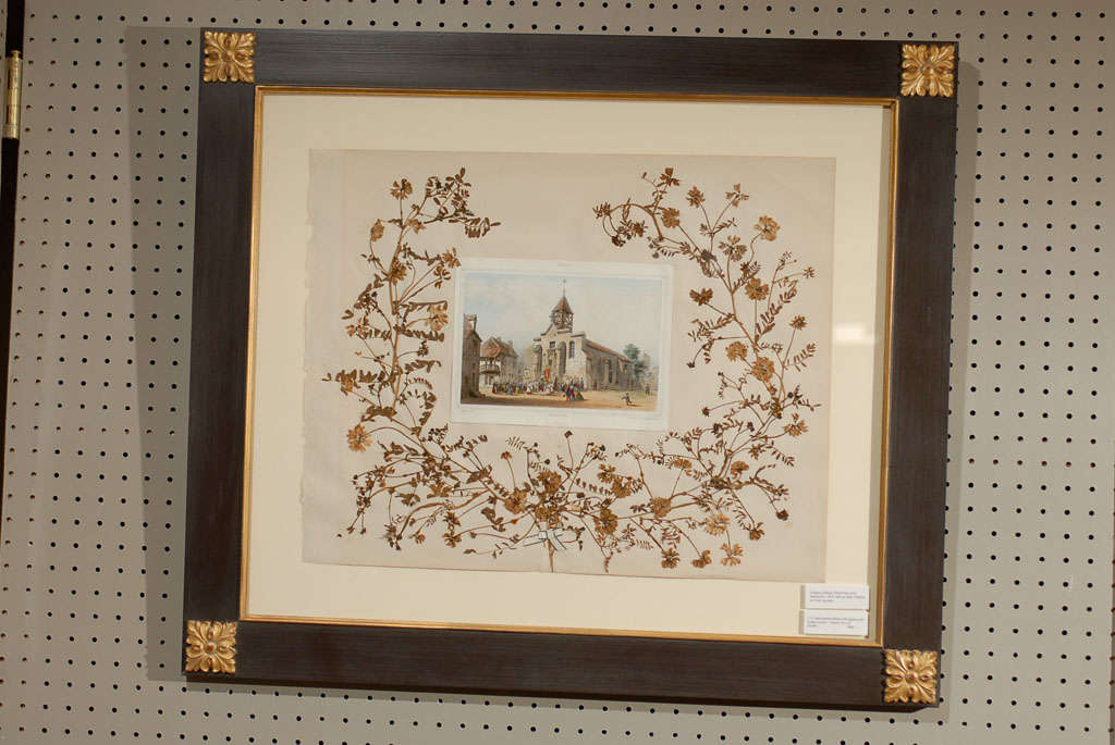 Set of 4 Dried Botanicals & Ferns c1870s 1