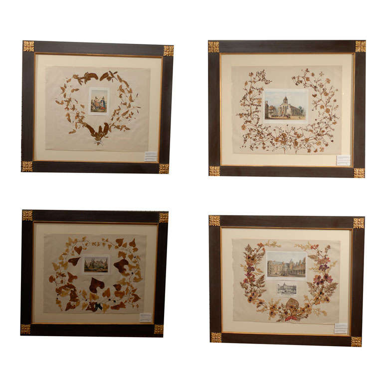 Set of 4 Dried Botanicals & Ferns c1870s