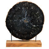 Old Petrified Wood Sculpture