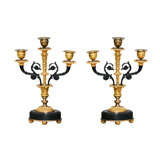 Pair of Louis XVI Style Gilt and Patinated Bronze  Candelabra