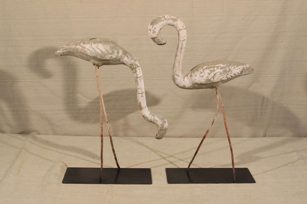 Quirky yet graceful pair of garden flamingos in cast concrete with traces of original white paint.  Each is standing on original pencil-gauge iron rod legs.  One is poised head up, the other head down; both with wonderful patina and perfect