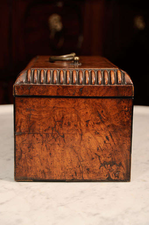 William VI Burr Walnut Tea Caddy In Excellent Condition In New York, NY